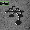 Cluster 100 * (2x12")