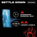 Settle Down 01
