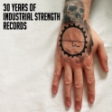 Industrial Strength 30 Years