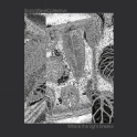 Arketip Discs 07