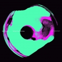 Futurepast LP 02