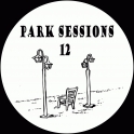 Cat In The Park 12
