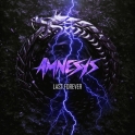 Amnesys 01